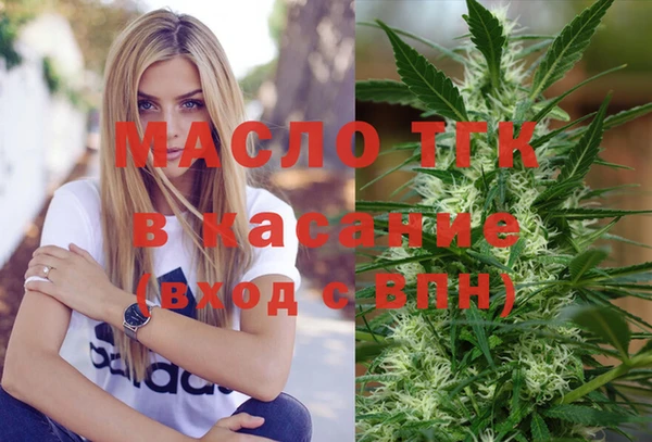 дмт Гусев
