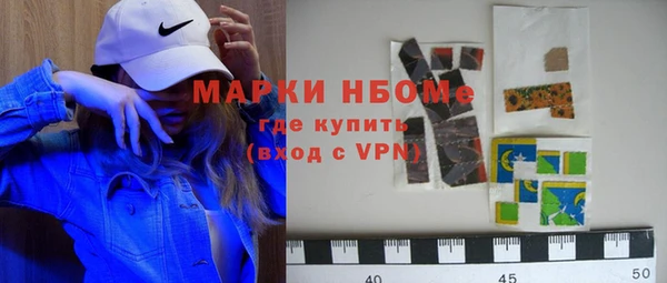 дмт Гусев