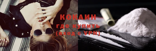jwh Гусь-Хрустальный