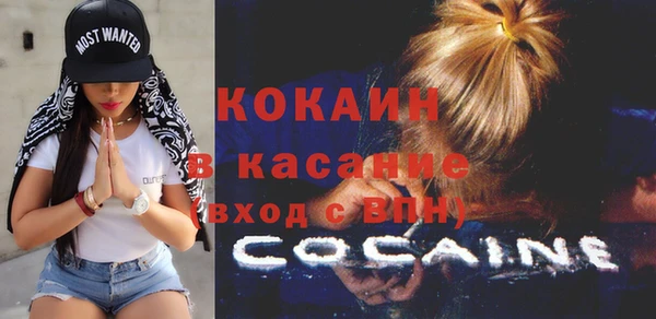 дмт Гусев