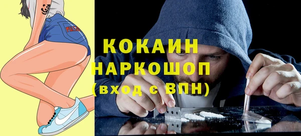 дмт Гусев