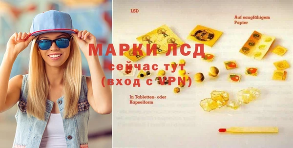 дмт Гусев