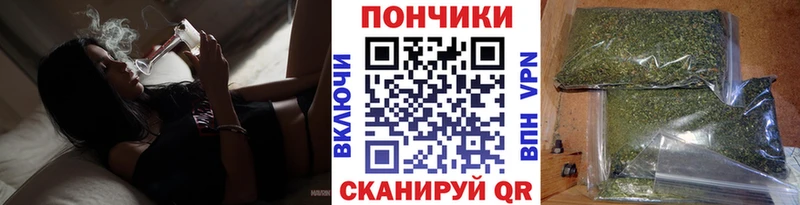 Конопля White Widow  Купить закладки  Староминская 